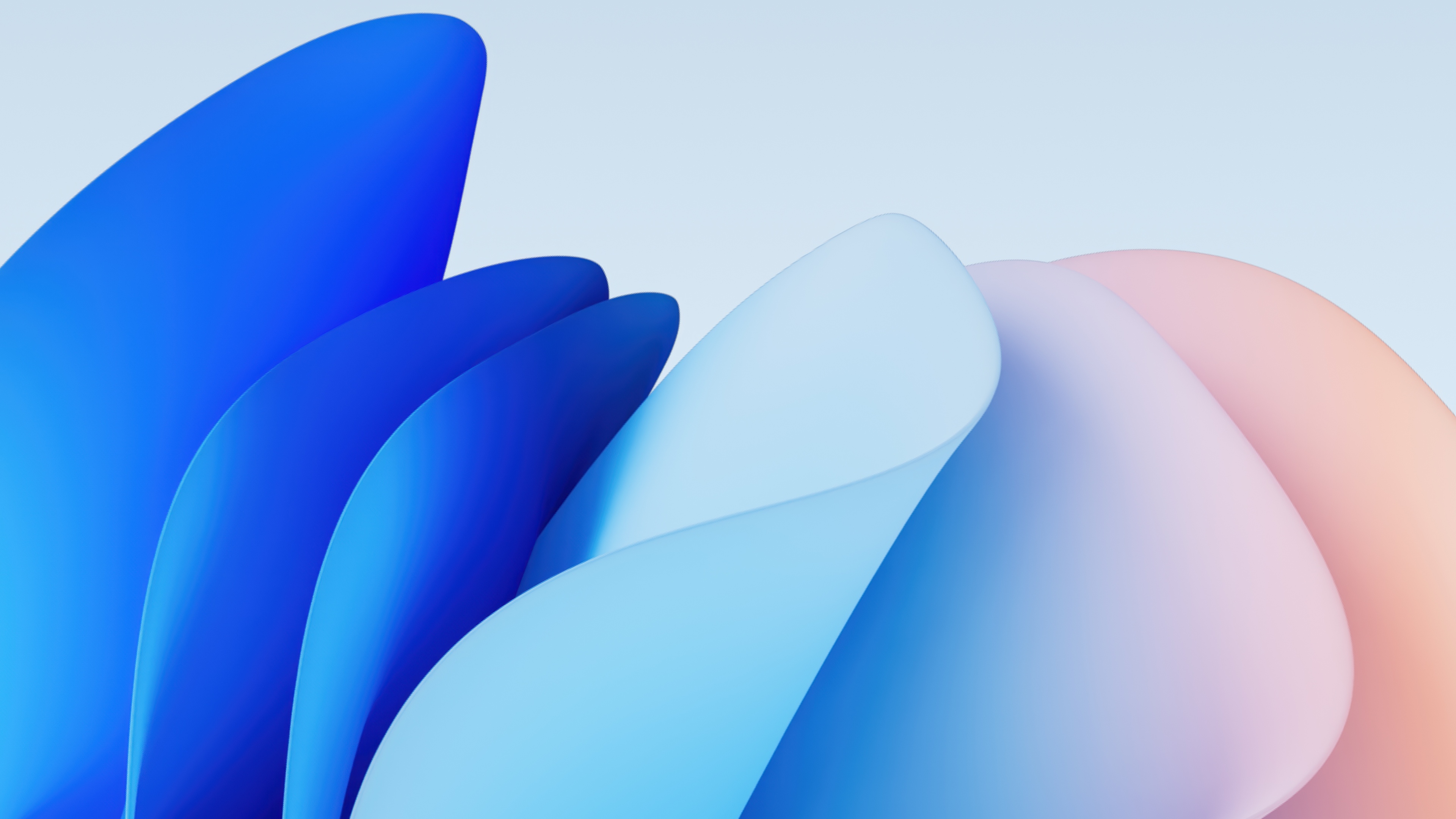 Microsoft Design Bloom collection Wallpaper